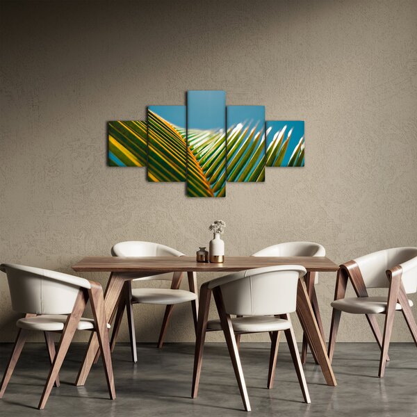 Obraz - Detal liścia palmowego (125x70 cm)