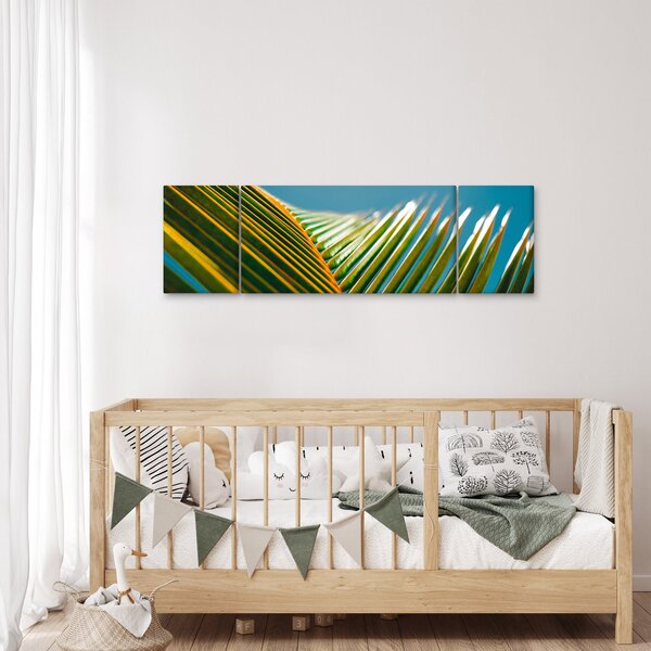 Obraz - Detal liścia palmowego (170x50 cm)