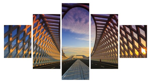 Obraz nowoczesnej architektury mostowej (125x70 cm)