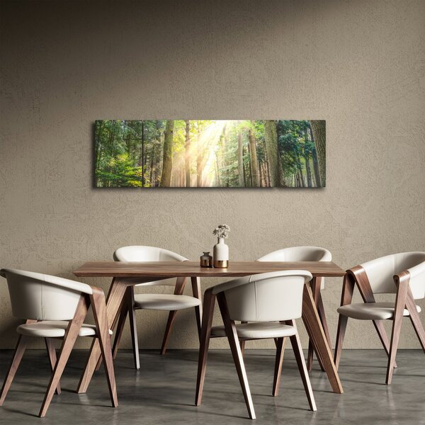 Obraz ścieżki w lesie (170x50 cm)