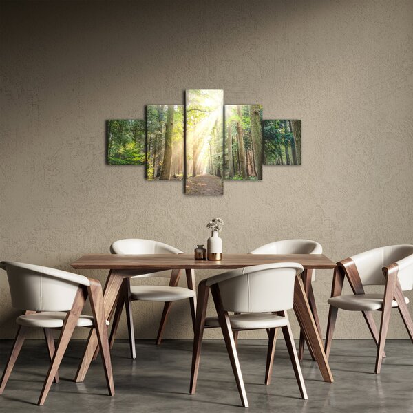 Obraz ścieżki w lesie (125x70 cm)