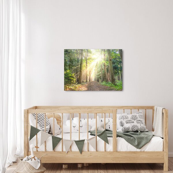 Obraz ścieżki w lesie (70x50 cm)