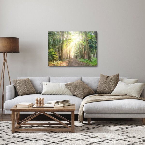Obraz ścieżki w lesie (70x50 cm)