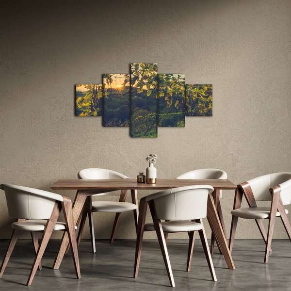 Obraz - Winnica (125x70 cm)