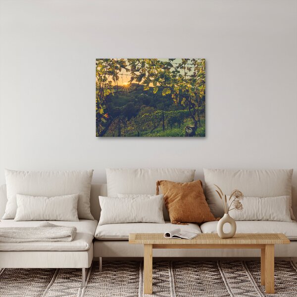 Obraz - Winnica (70x50 cm)