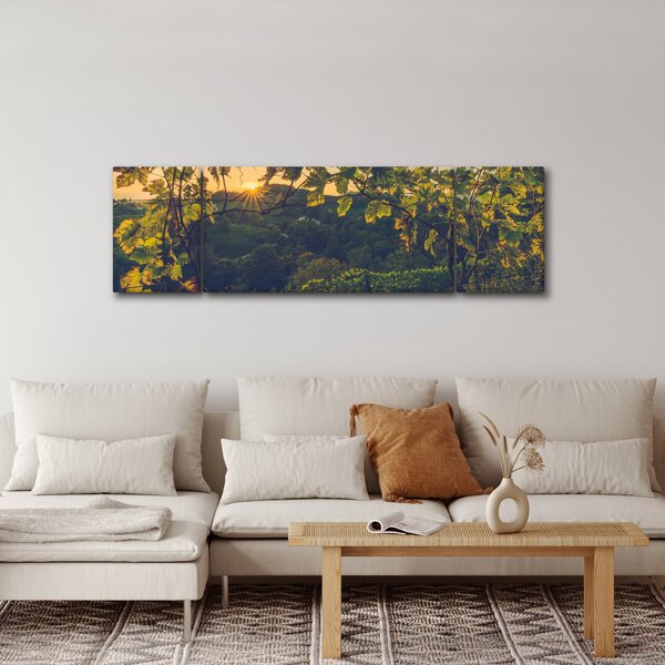 Obraz - Winnica (170x50 cm)