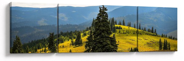 Obraz - Górska łąka (170x50 cm)