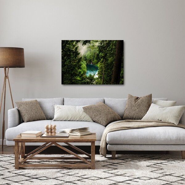 Obraz - Przestrzeń między drzewami (70x50 cm)