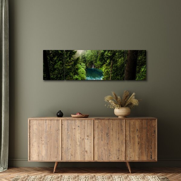 Obraz - Przestrzeń między drzewami (170x50 cm)