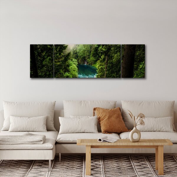 Obraz - Przestrzeń między drzewami (170x50 cm)