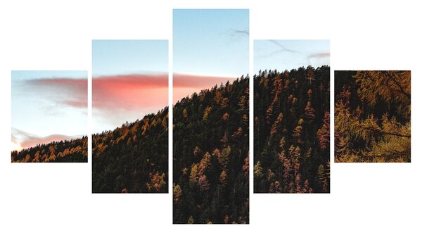 Obraz rudzików nad wzgórzem (125x70 cm)