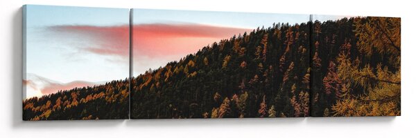Obraz rudzików nad wzgórzem (170x50 cm)