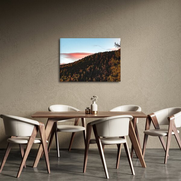 Obraz rudzików nad wzgórzem (70x50 cm)