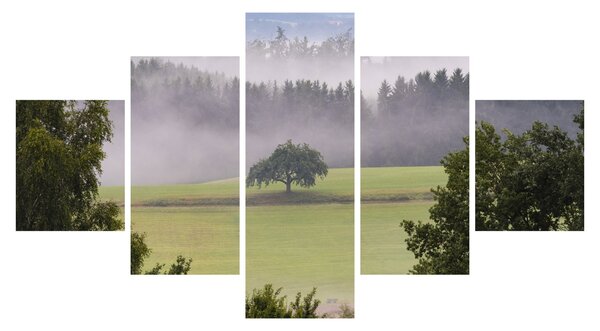 Obraz łąki z drzewem (125x70 cm)