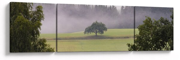 Obraz łąki z drzewem (170x50 cm)