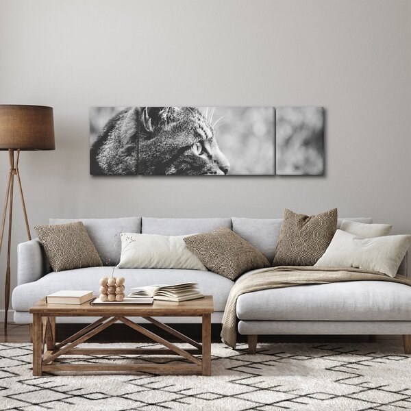 Obraz - Kot (170x50 cm)
