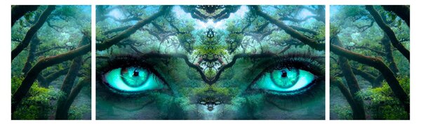 Obraz - Widok (170x50 cm)