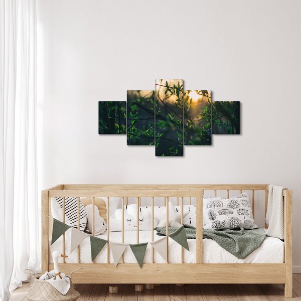 Obraz słońca przeświecającego przez gałęzie drzew (125x70 cm)