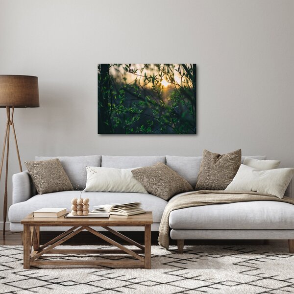 Obraz słońca przeświecającego przez gałęzie drzew (70x50 cm)