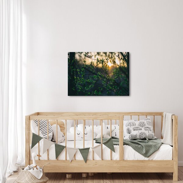 Obraz słońca przeświecającego przez gałęzie drzew (70x50 cm)