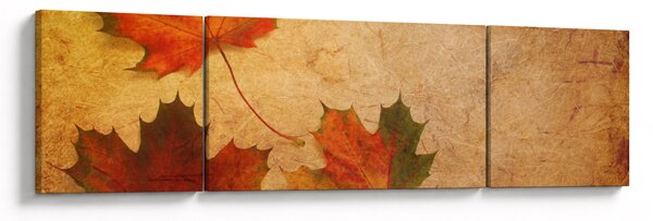Obraz z motywem jesiennym (170x50 cm)