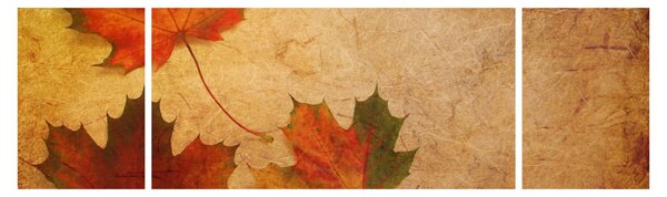 Obraz z motywem jesiennym (170x50 cm)