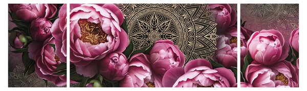 Obraz - Harmonia (170x50 cm)