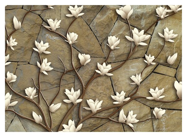 Obraz - Białe magnolie na murze kamiennym (70x50 cm)
