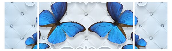 Obraz - Niebieskie motyle (170x50 cm)