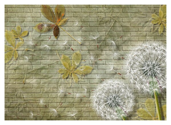 Obraz - Dmuchawce unoszone wiatrem (70x50 cm)
