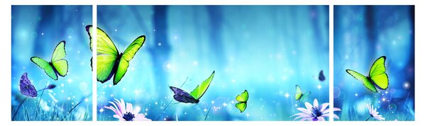 Obraz - Mistyczna leśna polana (170x50 cm)
