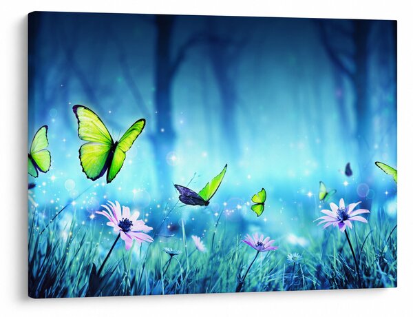Obraz - Mistyczna leśna polana (70x50 cm)