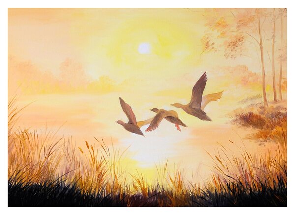 Obraz - Żurawie o zachodzie słońca (70x50 cm)