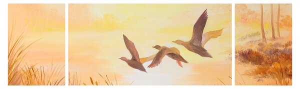 Obraz - Żurawie o zachodzie słońca (170x50 cm)