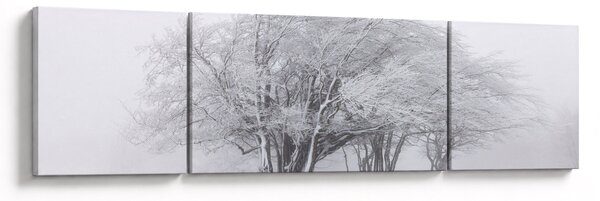 Obraz - Biała zima (170x50 cm)