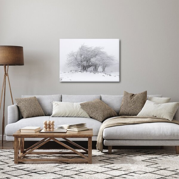 Obraz - Biała zima (70x50 cm)