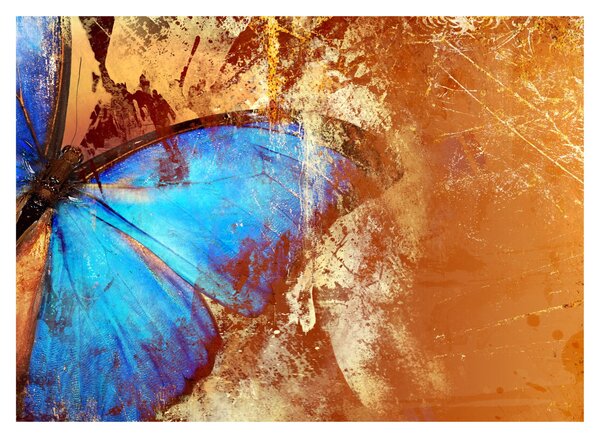 Obraz - Niebieski motyl (70x50 cm)