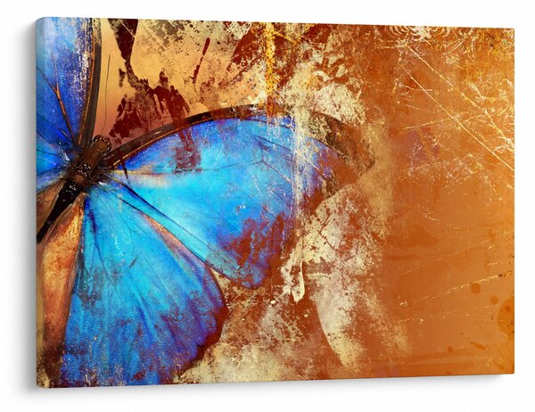 Obraz - Niebieski motyl (70x50 cm)