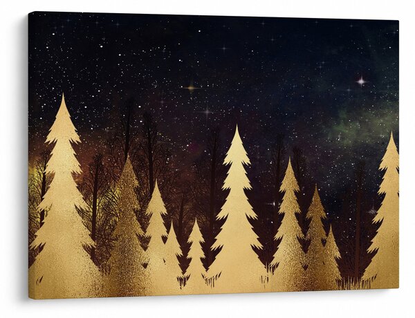 Obraz - Złota noc (70x50 cm)