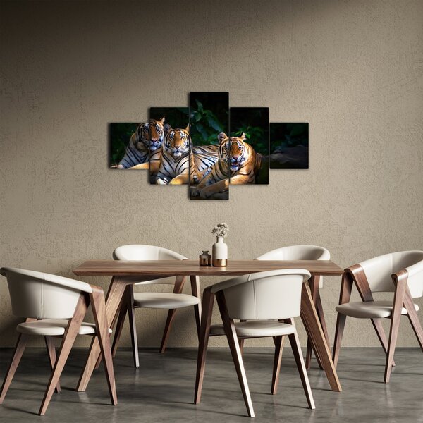Obraz - Tygrysi Bracia (125x70 cm)
