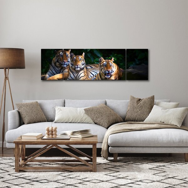 Obraz - Tygrysi Bracia (170x50 cm)