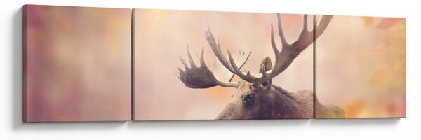 Obraz - Las w jesiennych liściach (170x50 cm)