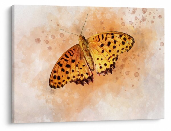 Obraz - Pomarańczowy motyl, akwarela (70x50 cm)