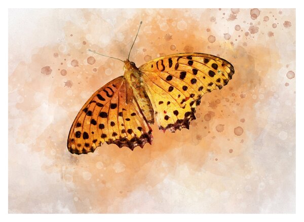 Obraz - Pomarańczowy motyl, akwarela (70x50 cm)