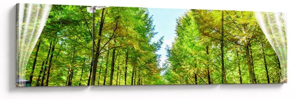 Obraz - Widok na las (170x50 cm)
