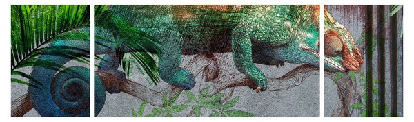 Obraz - Kameleon (170x50 cm)
