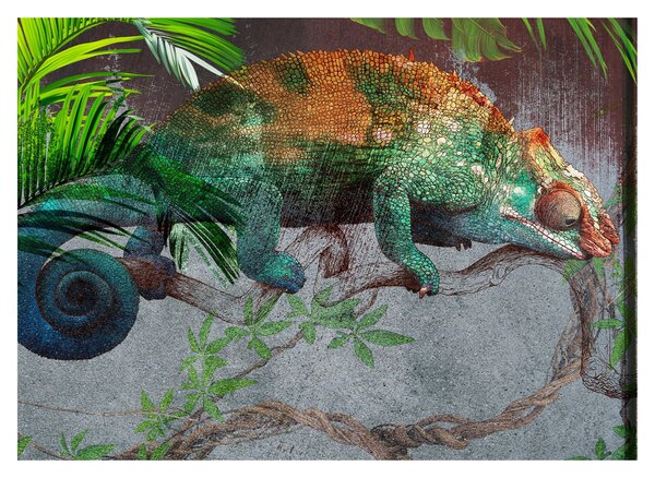 Obraz - Kameleon (70x50 cm)