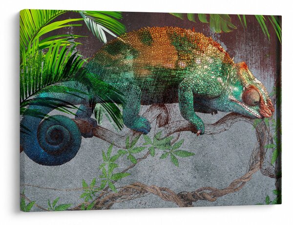 Obraz - Kameleon (70x50 cm)