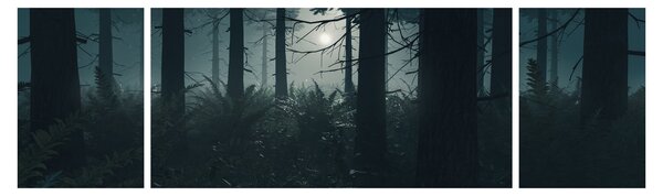 Obraz - Paproć w świetle księżyca (170x50 cm)