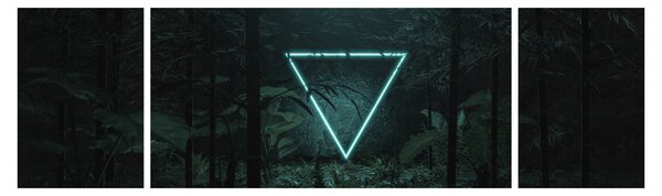 Obraz - Neonowy trójkąt w dżungli (170x50 cm)